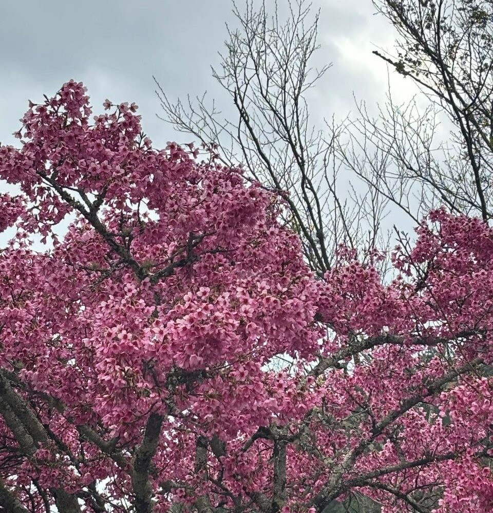 מזמינה אותך בבאר שבע